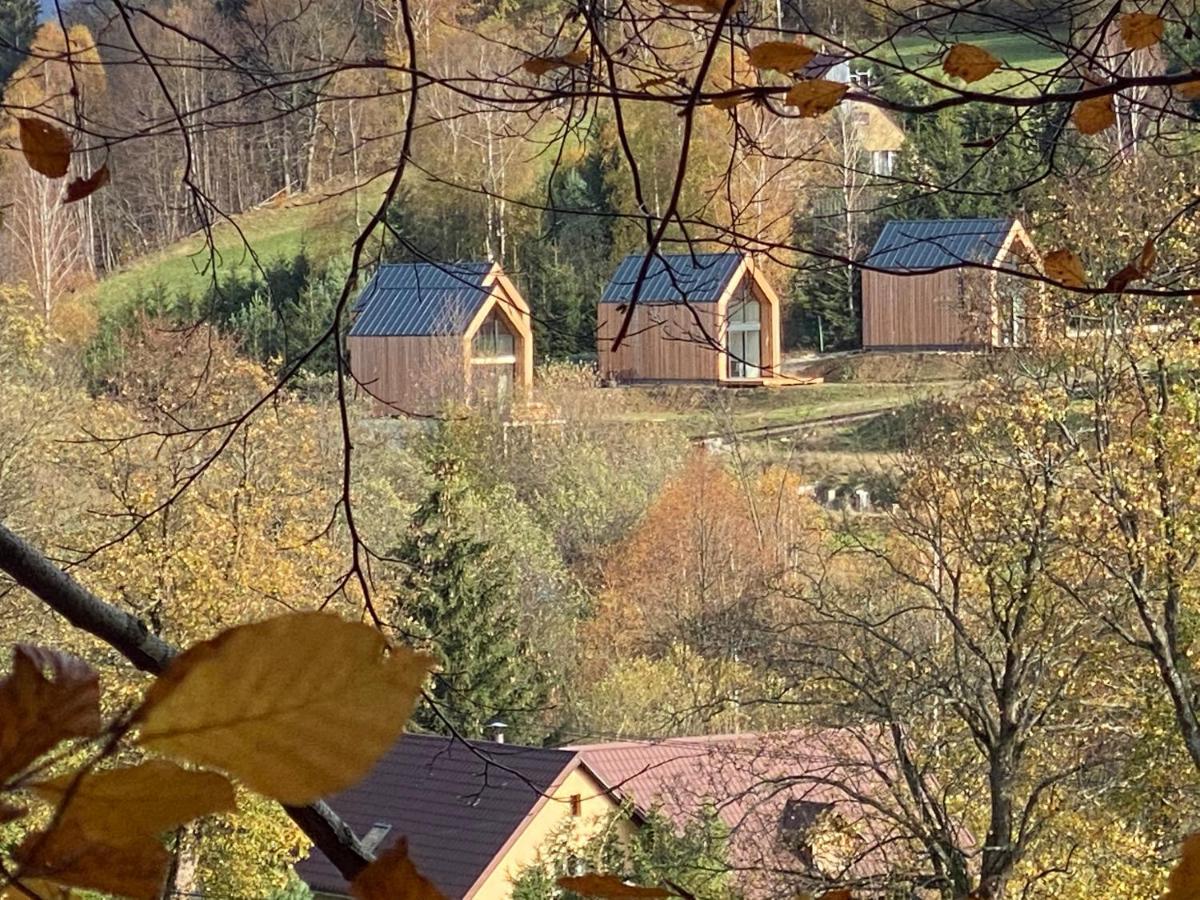Domki Pod Lasem - Domek Brzozowy Stronie Śląskie エクステリア 写真
