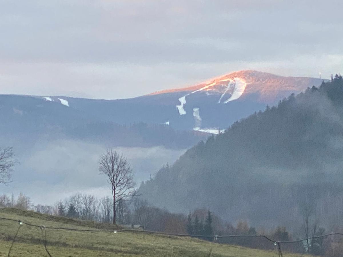 Domki Pod Lasem - Domek Brzozowy Stronie Śląskie エクステリア 写真