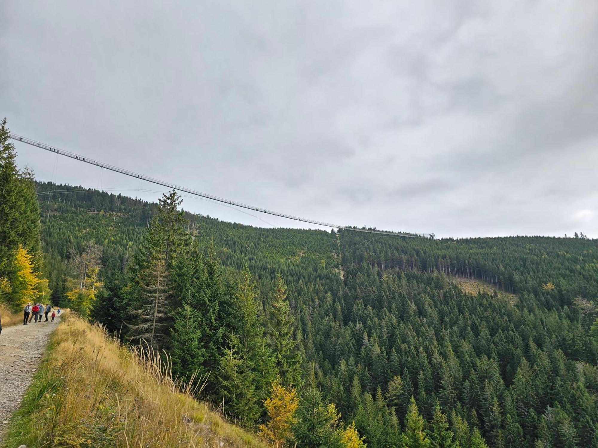 Domki Pod Lasem - Domek Brzozowy Stronie Śląskie エクステリア 写真