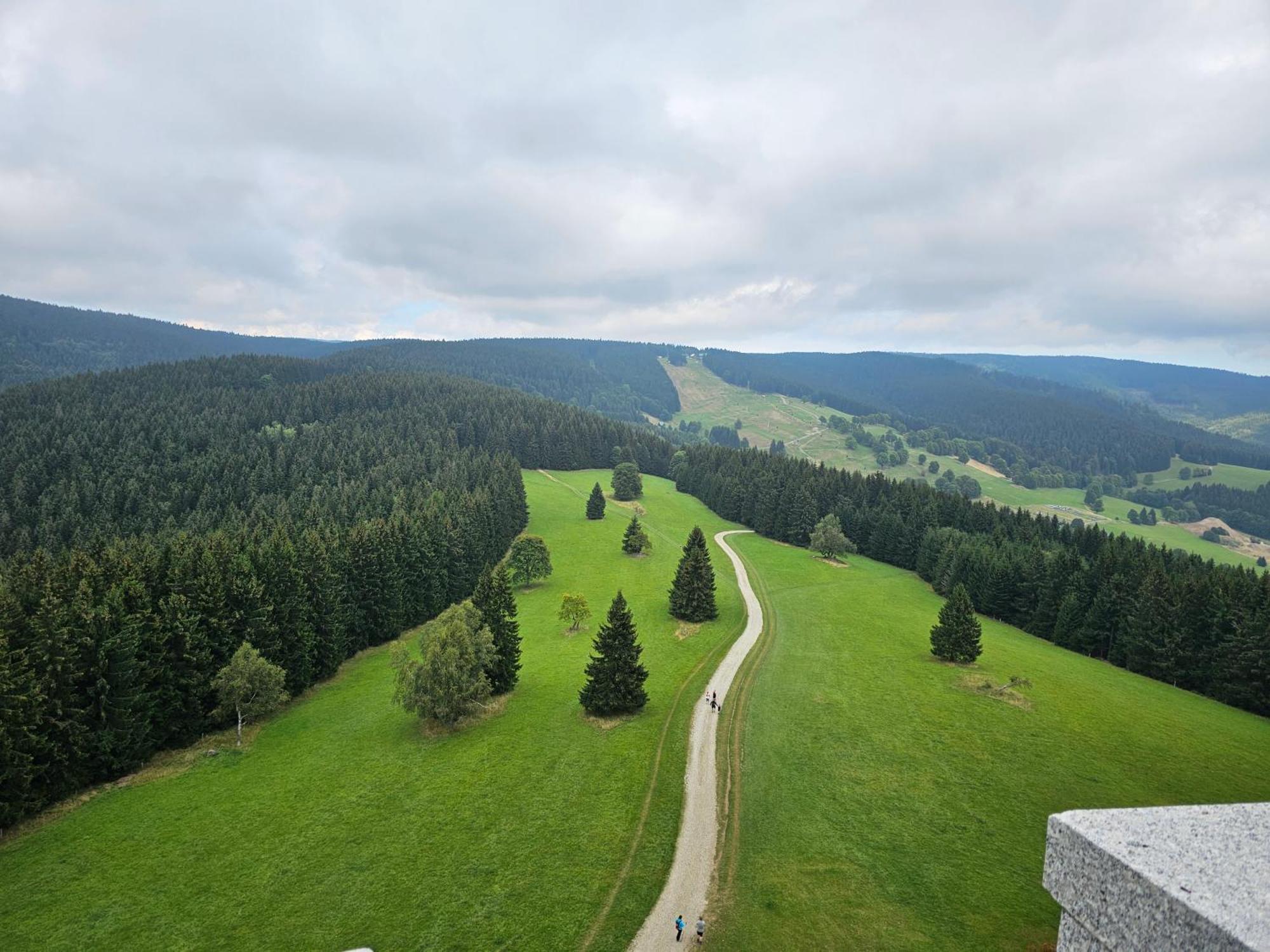Domki Pod Lasem - Domek Brzozowy Stronie Śląskie エクステリア 写真