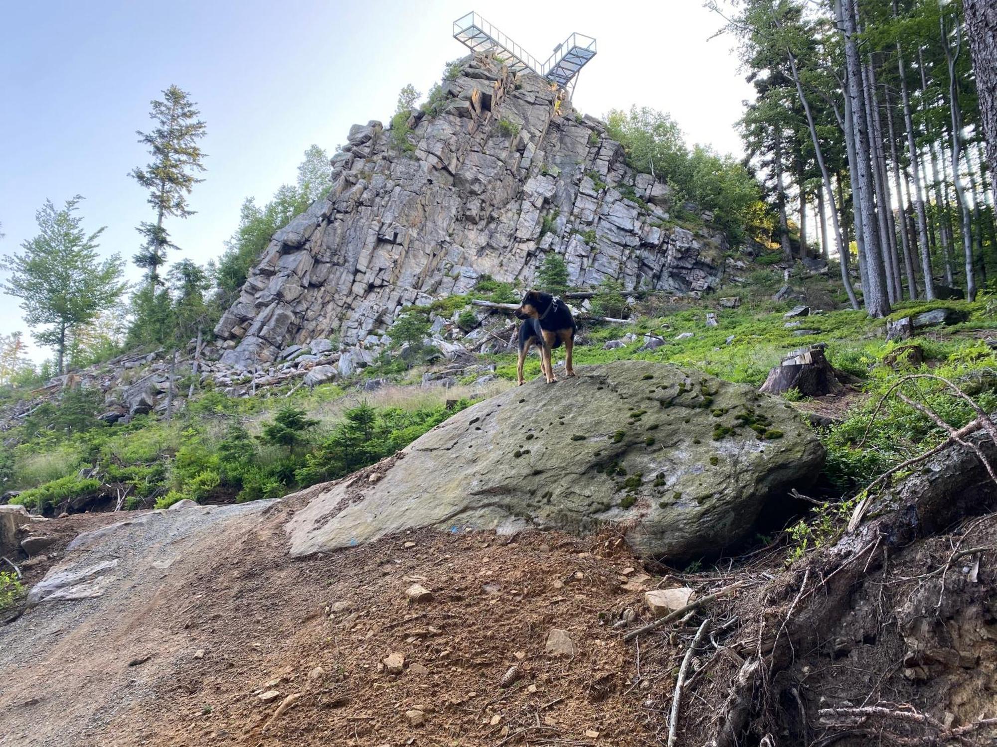 Domki Pod Lasem - Domek Brzozowy Stronie Śląskie エクステリア 写真